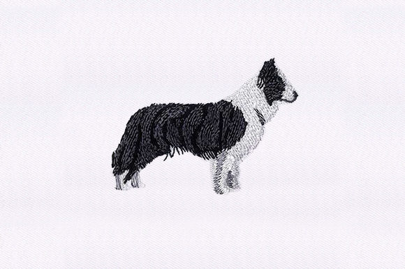 Border Collie: A Charming Addition to Your Apparel