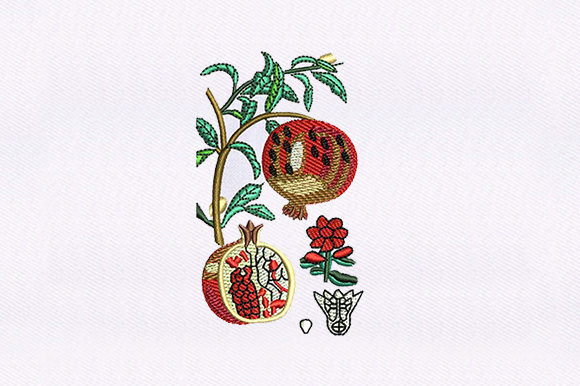 Vines Pomegranate: A Versatile Embroidery Design